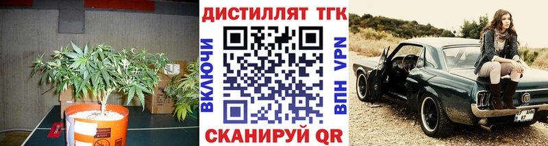 сколько стоит  Обнинск  Дистиллят ТГК концентрат 