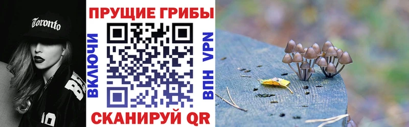 Псилоцибиновые грибы MAGIC MUSHROOMS  Обнинск 