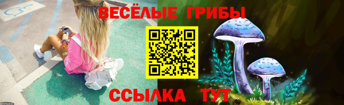 Псилоцибиновые грибы MAGIC MUSHROOMS Обнинск
